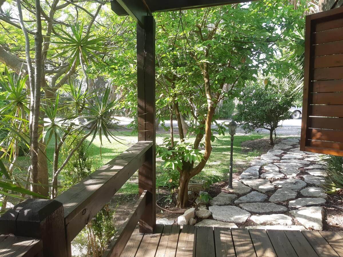 תמונה של הירוקה של הכרמל - 10