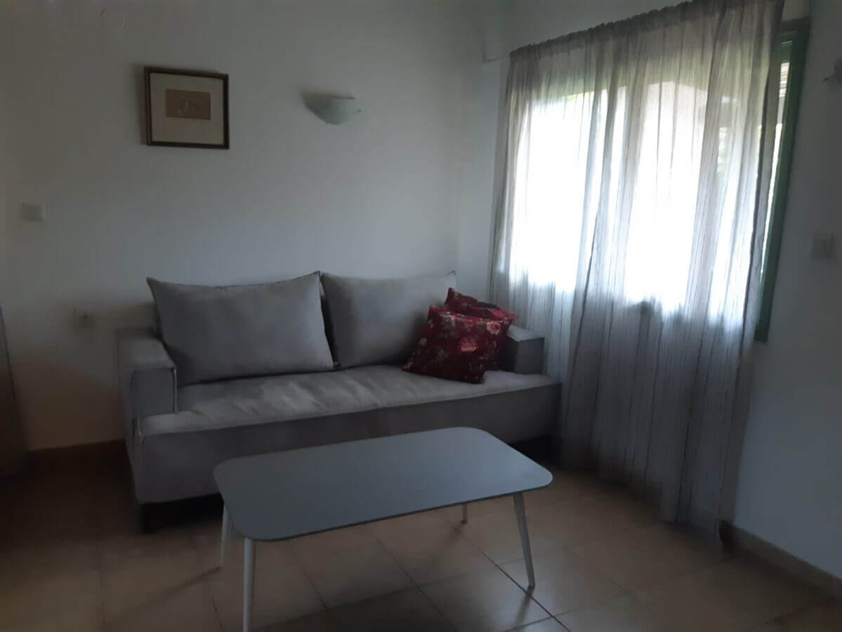 תמונה של הירוקה של הכרמל - 3