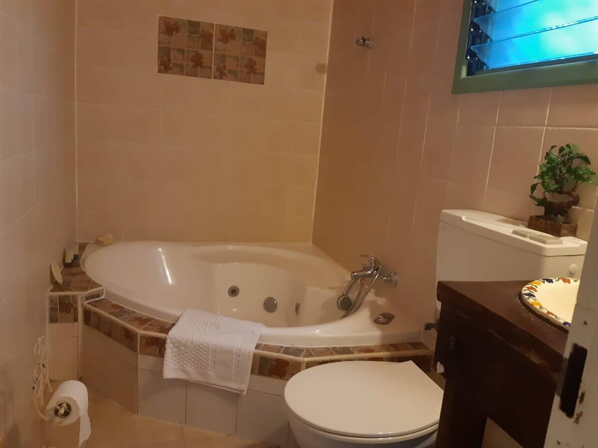 תמונה של הירוקה של הכרמל - 9