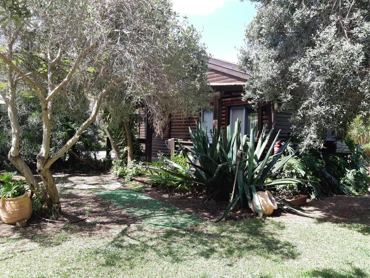 תמונה של הכחולה של הים - 7