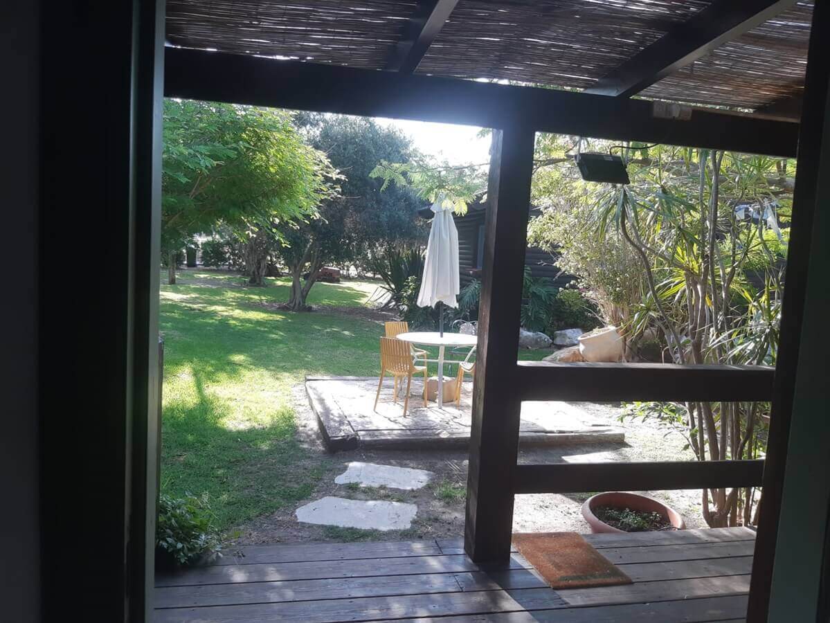 תמונה של הירוקה של הכרמל - 4