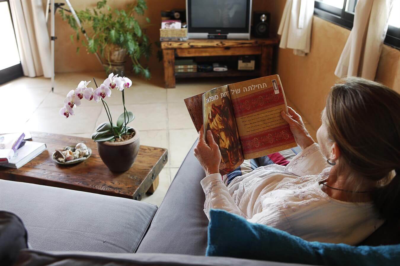 תמונה של הסוויטה - 4