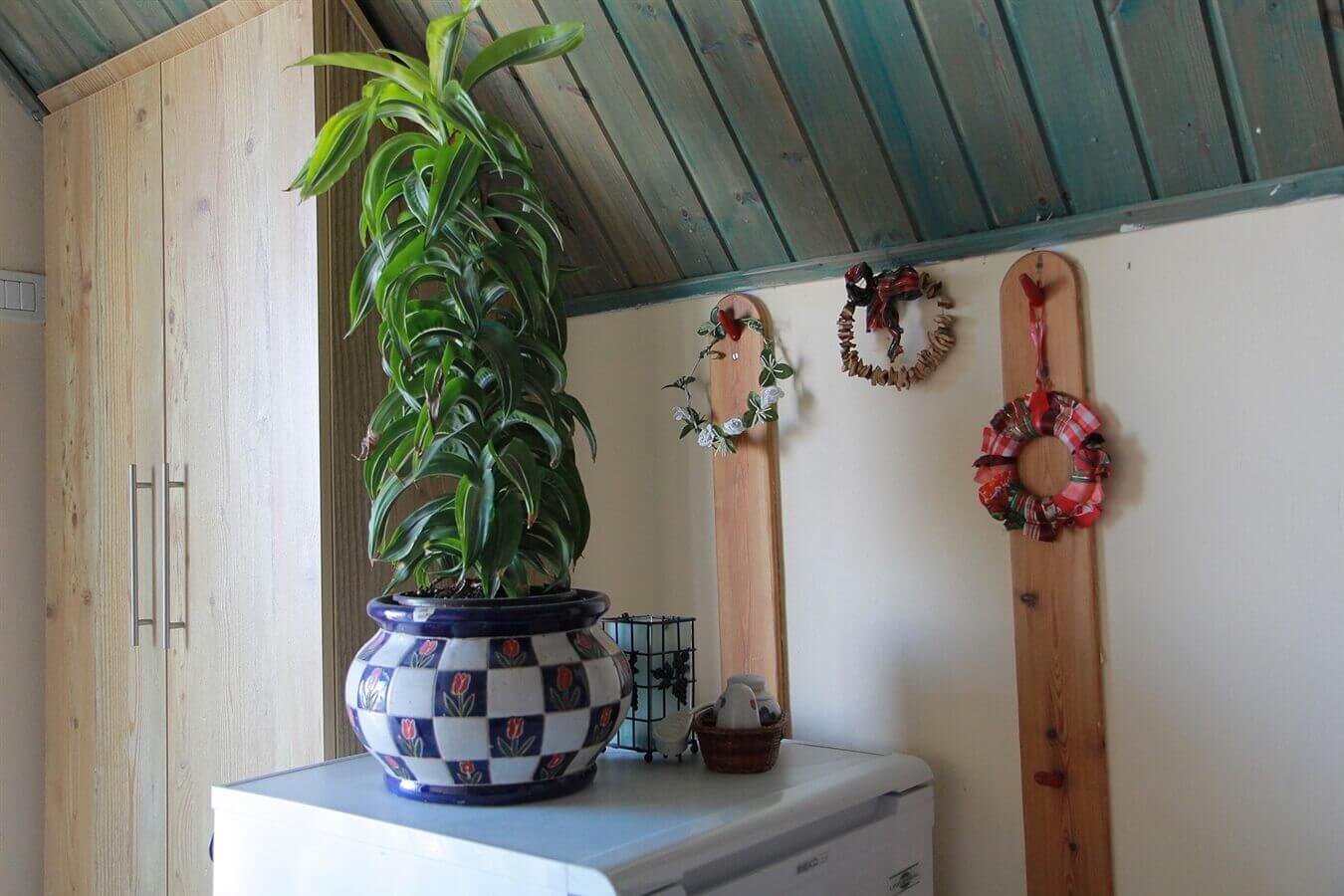 תמונה של היחידות הזוגיות - 8