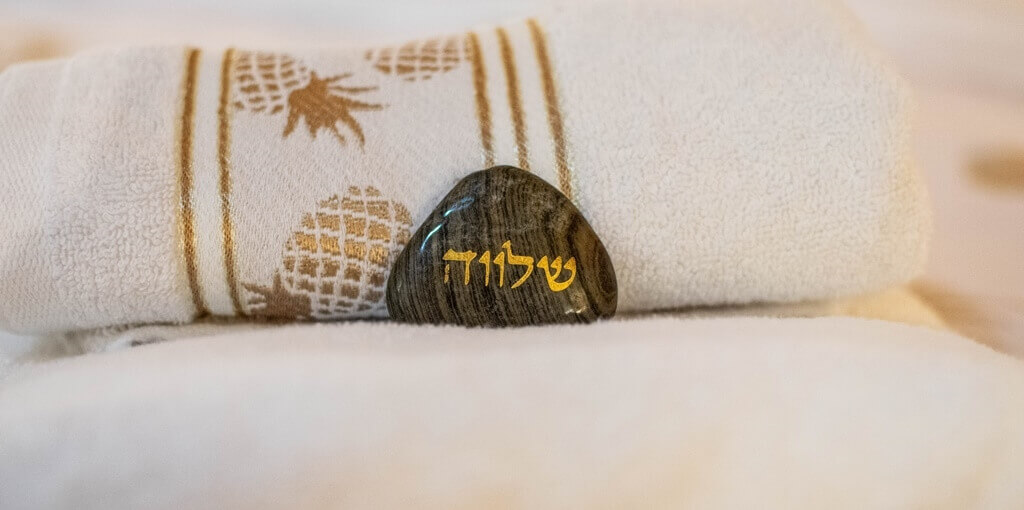 תמונה של יורט - יחידת אירוח מונגולית - 9 תמונה של יורט - יחידת אירוח מונגולית - 9