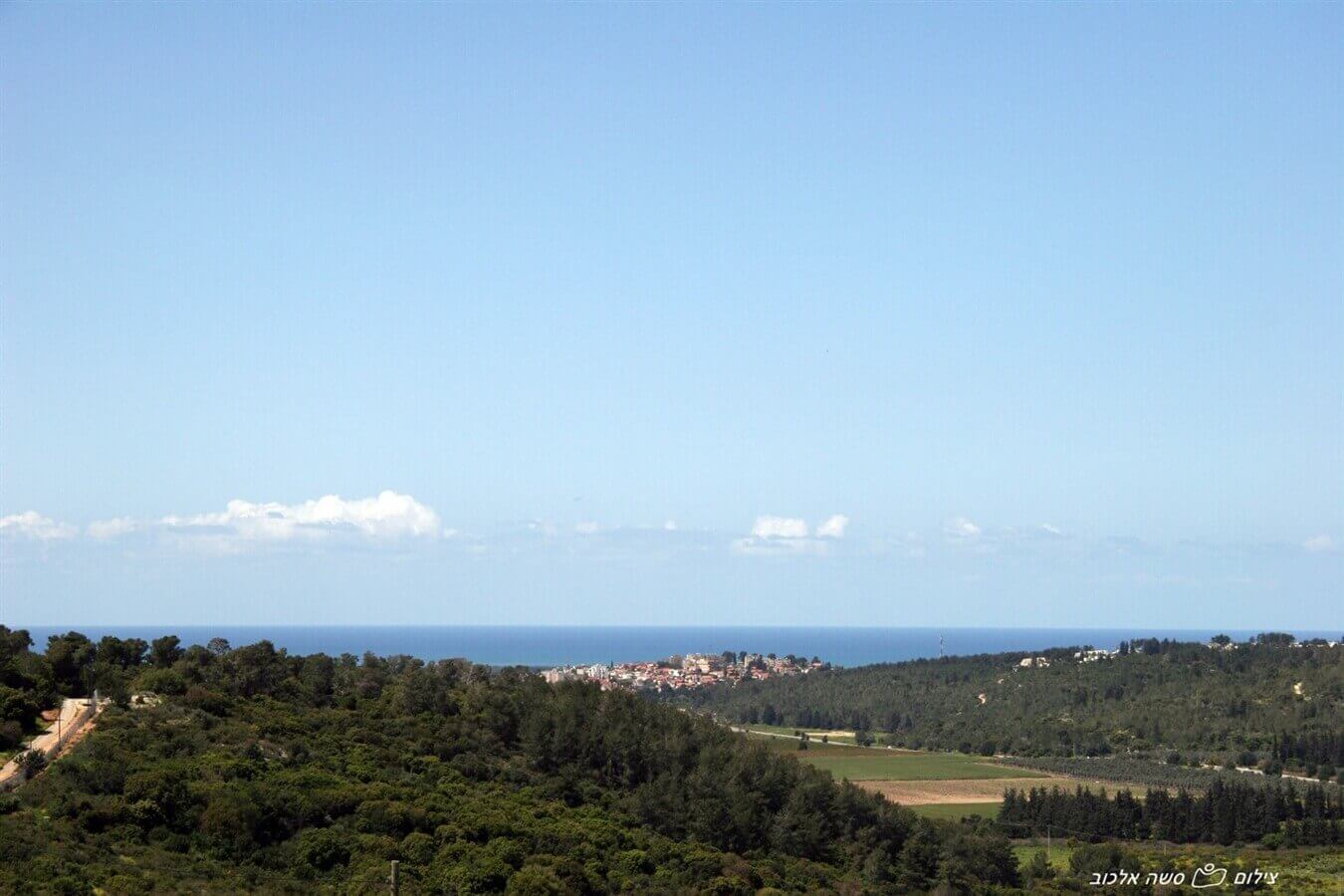 תמונה של סוויטה 1 - 13