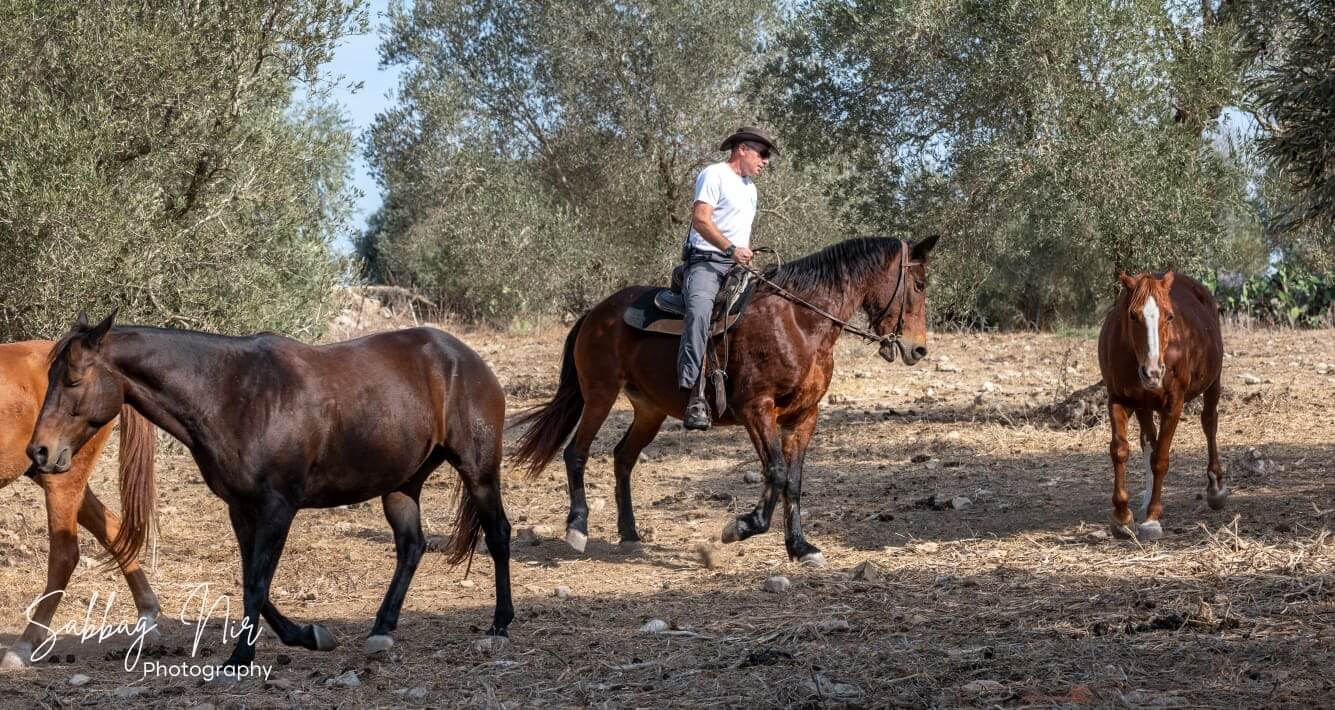 תמונה שצולמה ברנצ'ו מניס - 3 תמונה של רנצ'ו מניס - 3