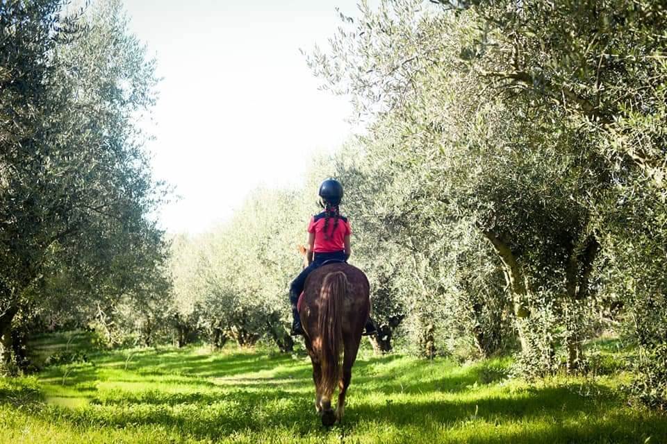 תמונה שצולמה ברנצ'ו מניס - 4 תמונה של רנצ'ו מניס - 4