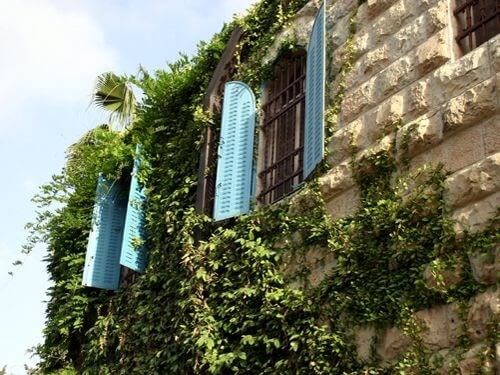 תמונה שצולמה בבית ביגל - 1 תמונה של בית ביגל - 1