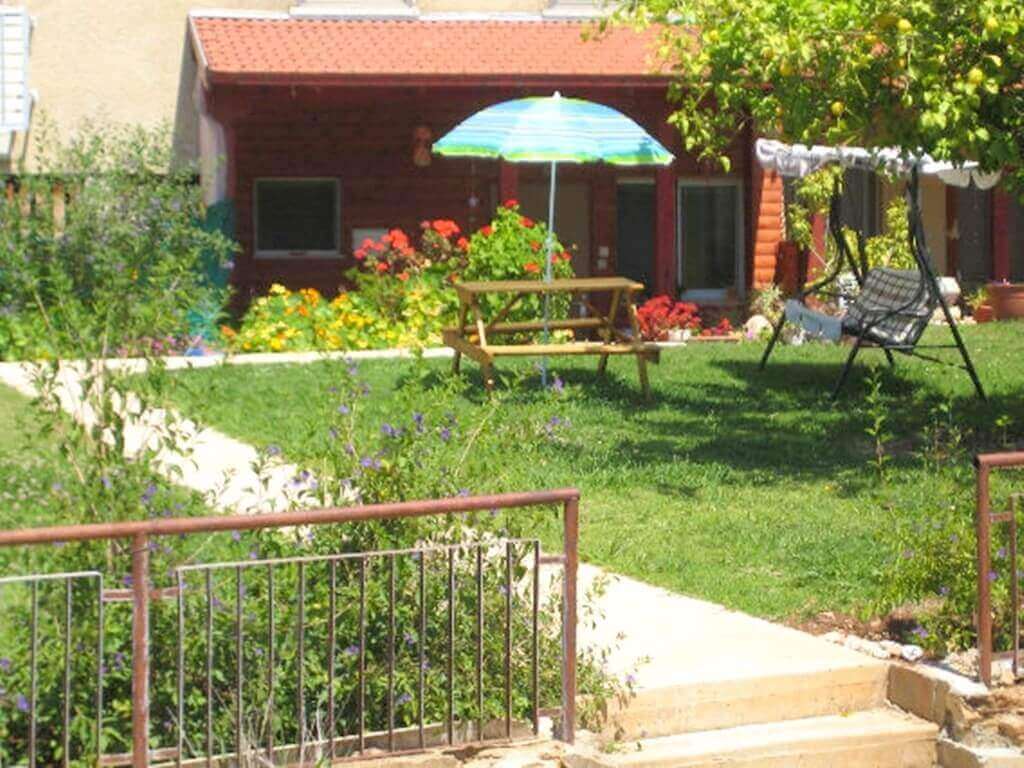 תמונה של בית העץ - 5