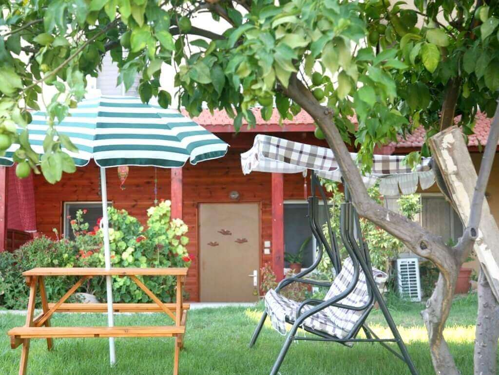 תמונה של בית העץ - 7