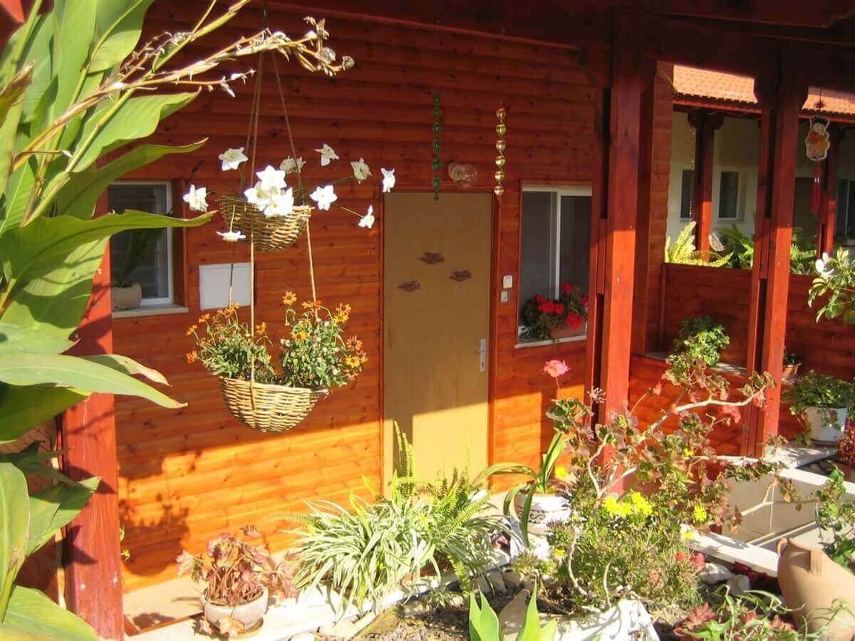 תמונה של בית העץ - 11