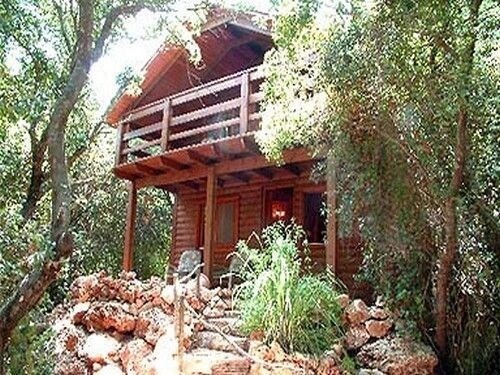 תמונה שצולמה באבירים- בקתה ביער - 1 תמונה של אבירים- בקתה ביער - 1