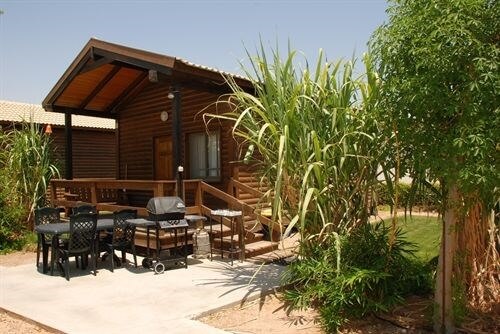 תמונה שצולמה בעץ במדבר - 1 תמונה של עץ במדבר - 1