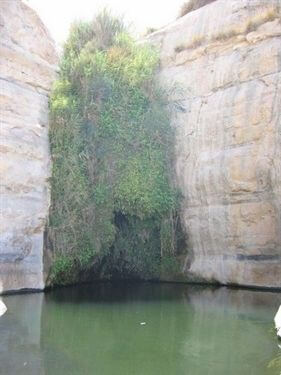 תמונה של טיולי ג'יפים תמונה של טיולי ג'יפים