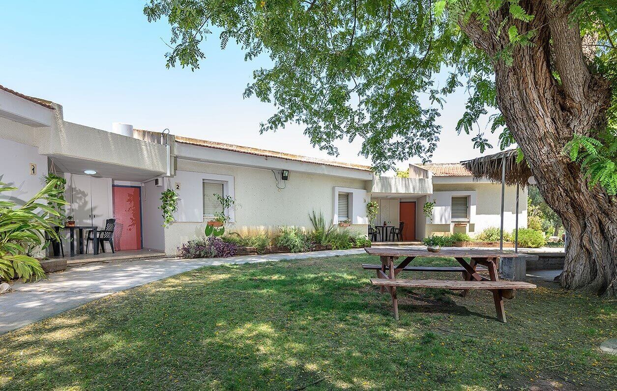 תמונה של יחידות דקל - 7