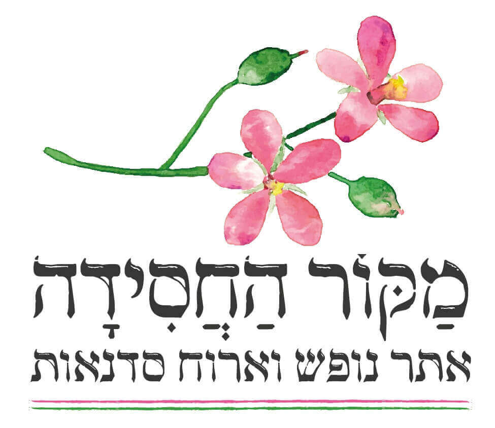 תמונה של יחידות דקל - 11