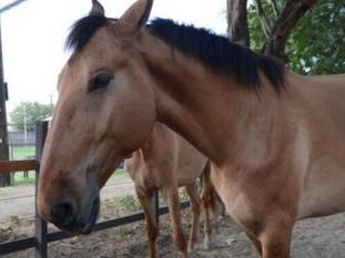 תמונה שצולמה ברוכבים בגליל - 4 תמונה של רוכבים בגליל - 4