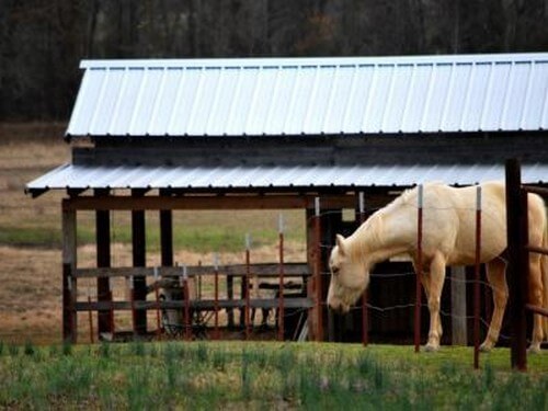 תמונה שצולמה ברוכבים בגליל - 5 תמונה של רוכבים בגליל - 5