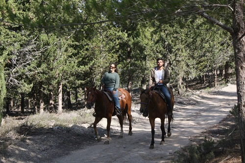תמונה של טיולי סוסים