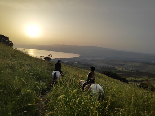 תמונה של רכיבה על סוסים