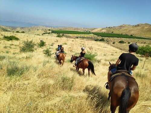 תמונה של רכיבה על סוסים