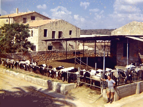 תמונה של פעילות למשפחות ולקבוצות