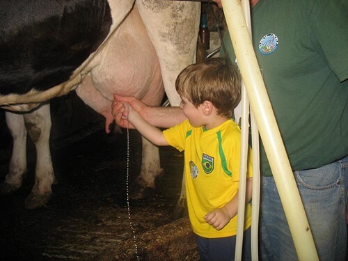 תמונה של פעילות למשפחות ולקבוצות