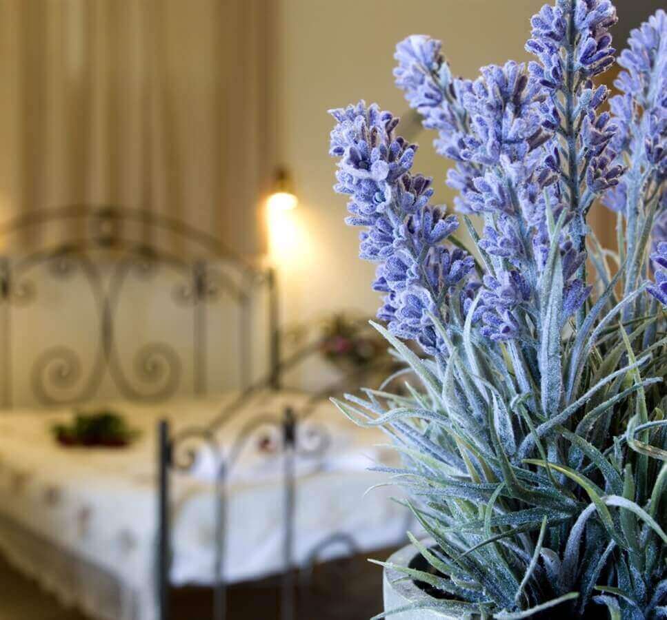 תמונה של היחידות המשפחתיות - 4