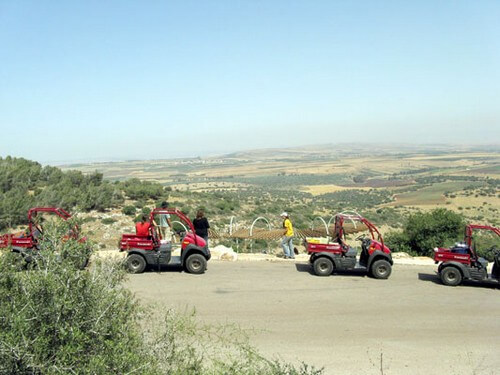 תמונה שצולמה בT מיול - 1 תמונה של T מיול - 1