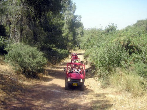 תמונה שצולמה בT מיול - 4 תמונה של T מיול - 4
