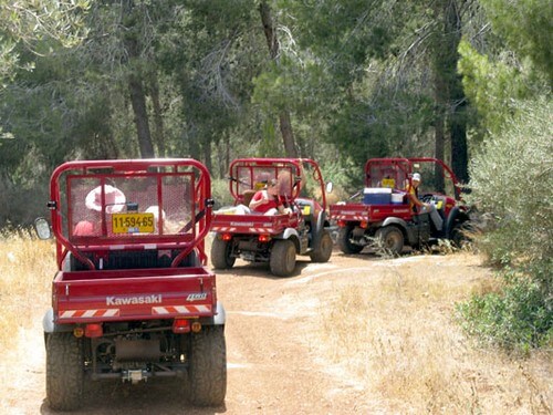 תמונה שצולמה בT מיול - 5 תמונה של T מיול - 5