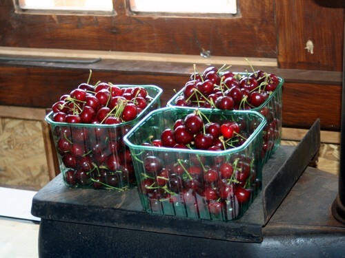 תמונה של הקטיף