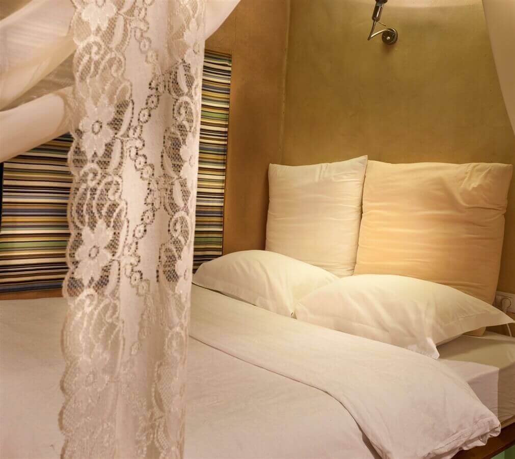 תמונה של לקסיטה - 3