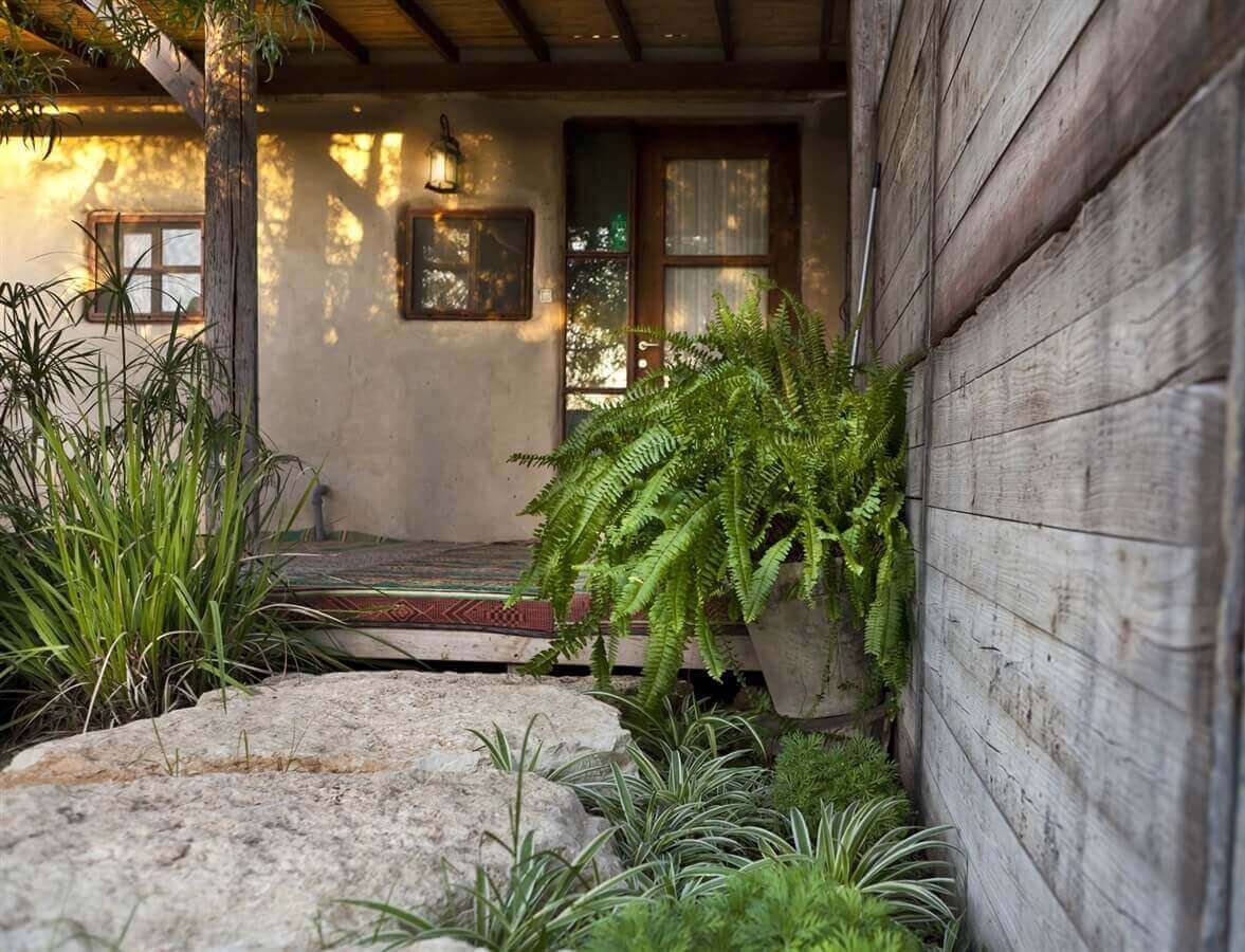 תמונה של לקסיטה - 4