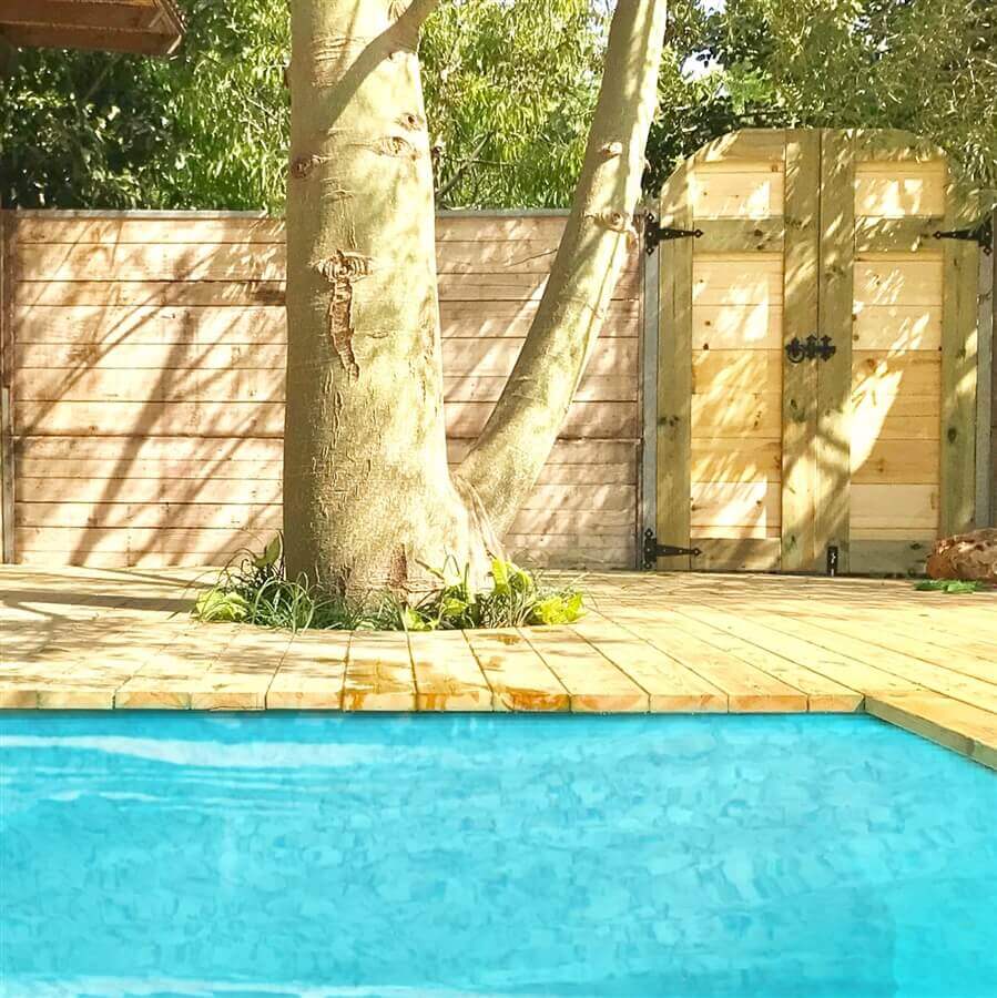 תמונה של לקסיטה - 10