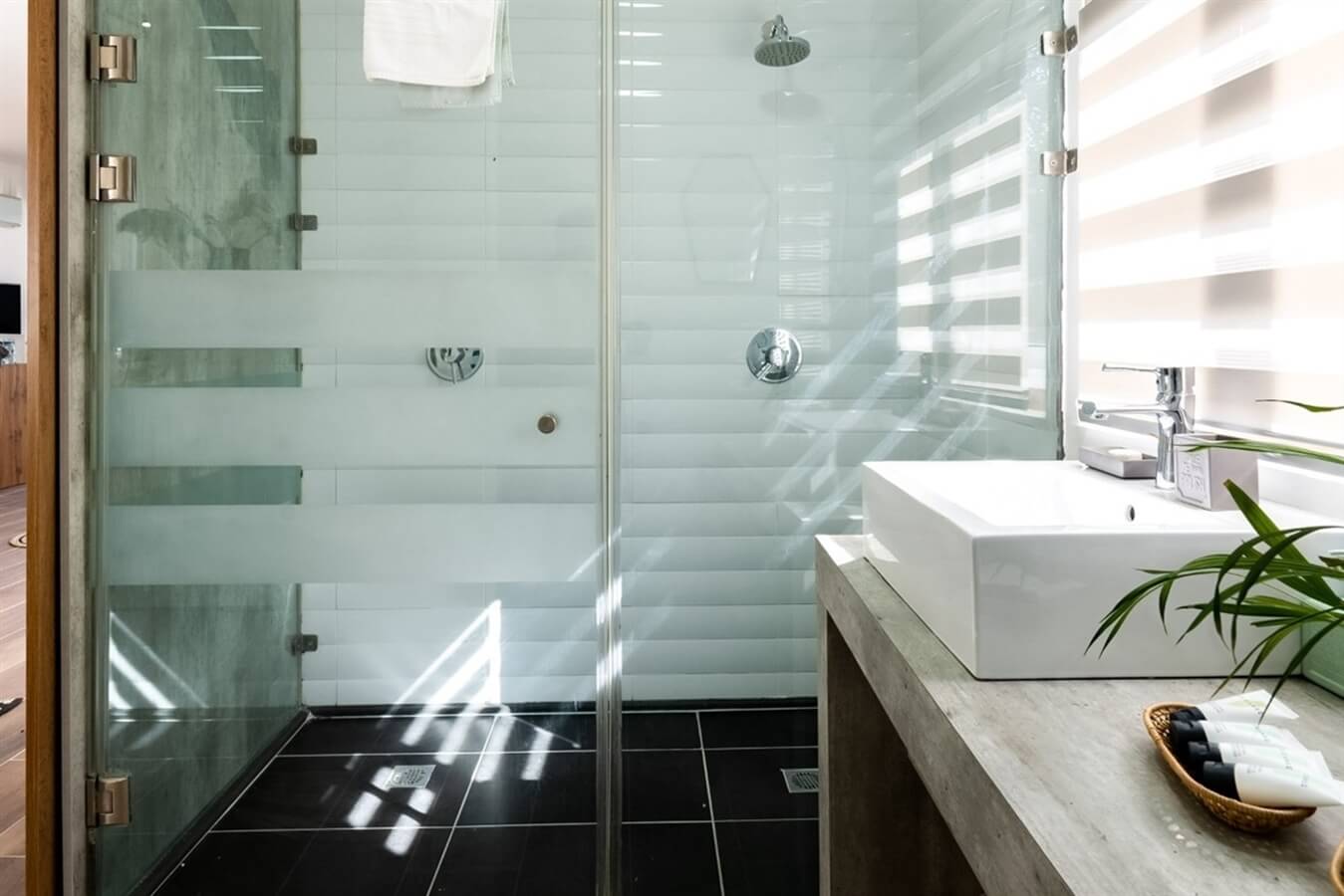 תמונה של סוויטה אוסנתה - 6