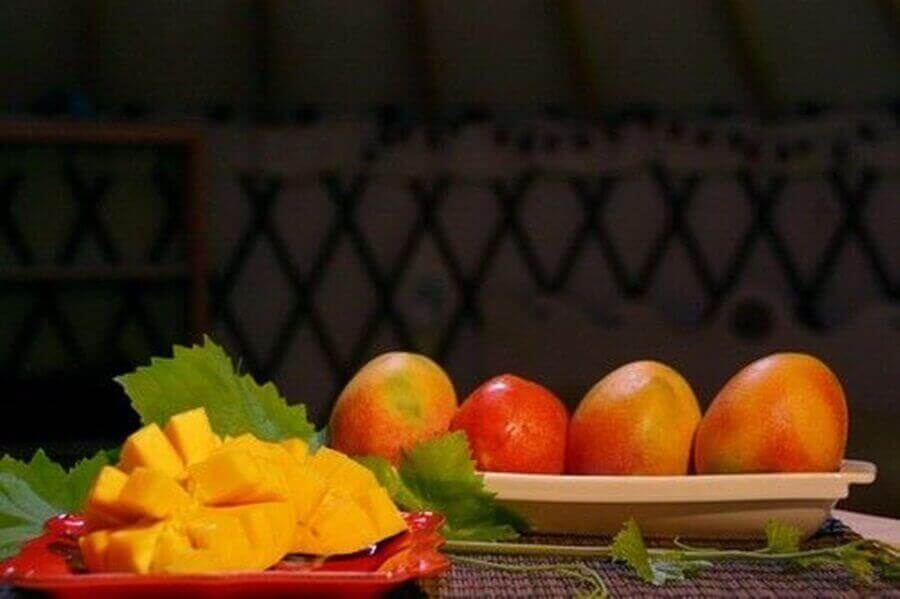 תמונה של אוהלי האירוח - 2 תמונה של אוהלי האירוח - 2