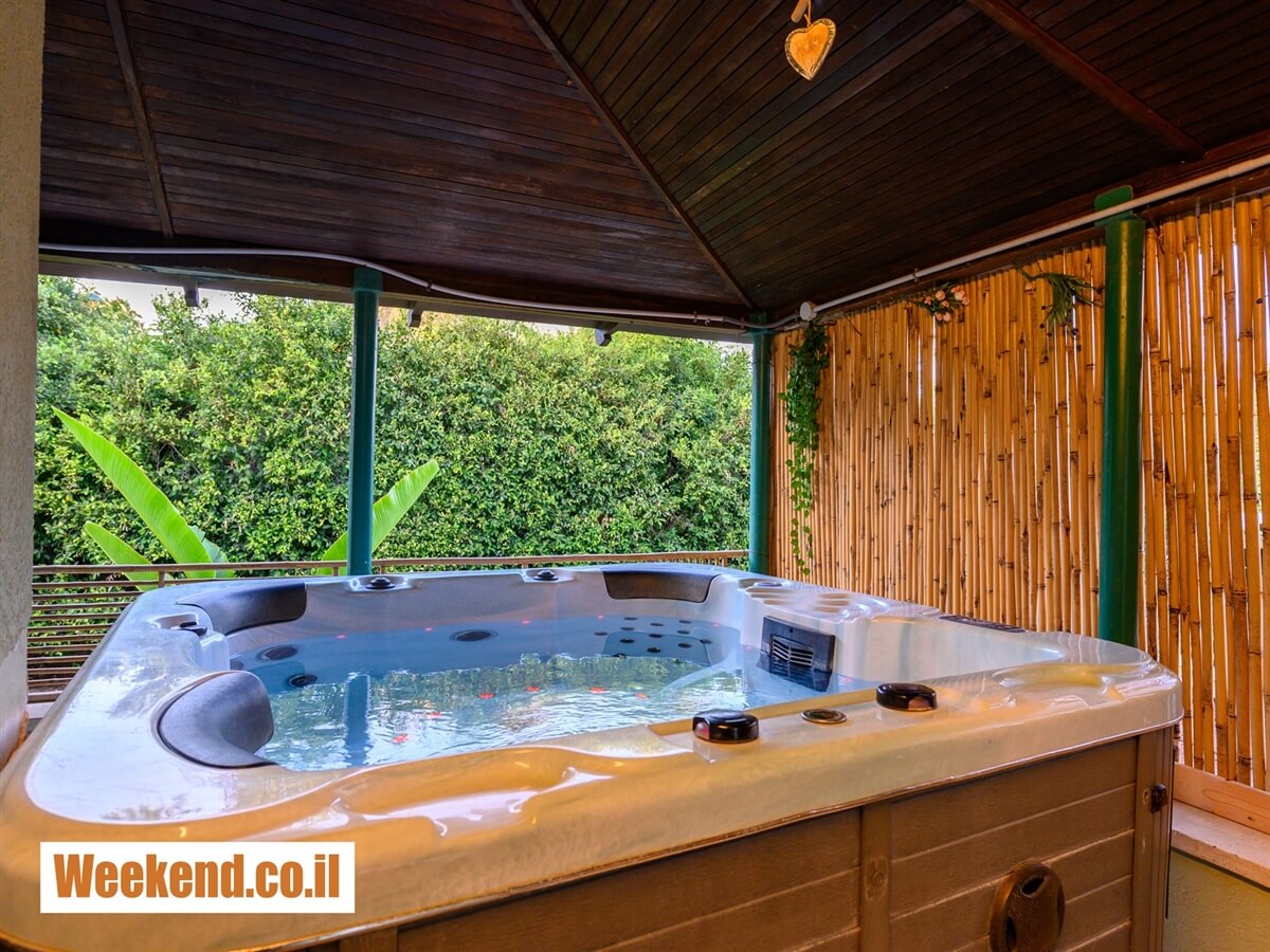 תמונה של יחידת איירין - 9