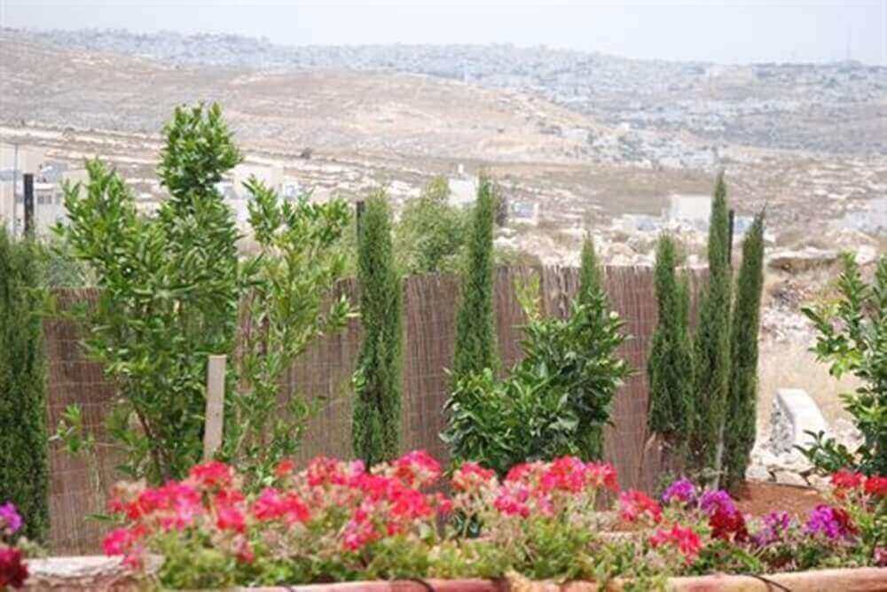 תמונה של סוויטת ערמון - 6