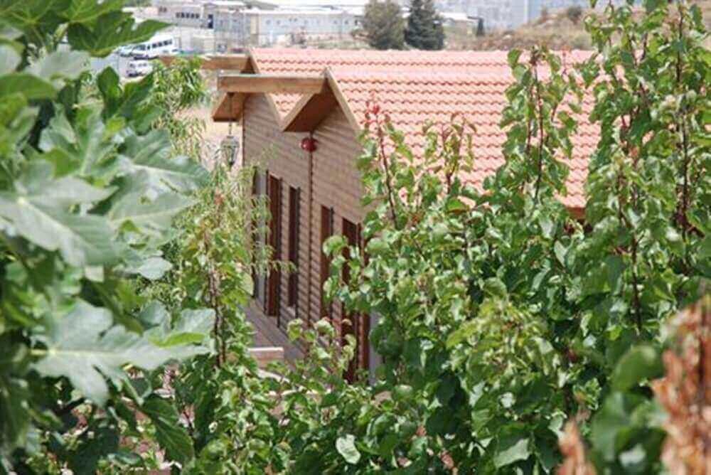 תמונה של סוויטת ערמון - 8