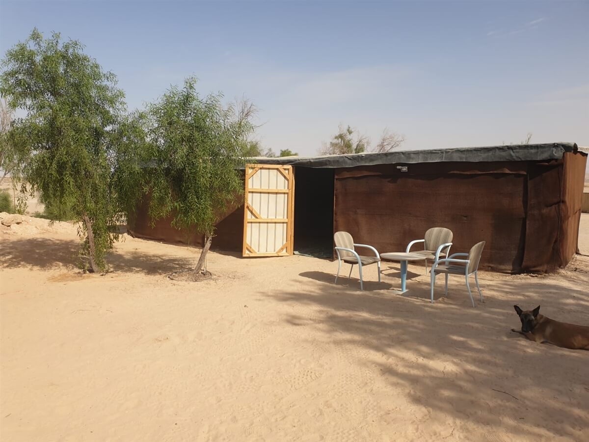 תמונה של מתחם האוהלים - 8