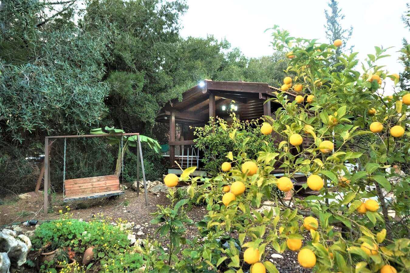 תמונה שצולמה בהמוזה של פרי - 1 תמונה של המוזה של פרי - 1