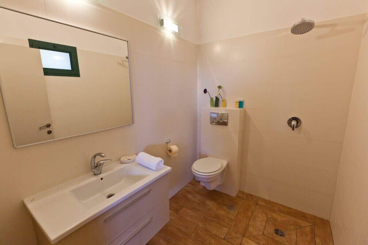 תמונה של בקתת הדקל - 5 תמונה של בקתת הדקל - 5