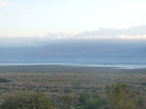 תמונה של בקתת הדקל - 6 תמונה של בקתת הדקל - 6