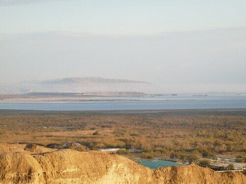 תמונה של בקתת הדקל - 4 תמונה של בקתת הדקל - 4