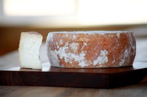 תמונה של סדנאות במחלבה תמונה של סדנאות במחלבה