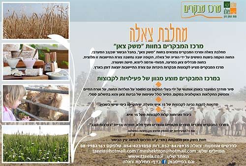 תמונה שצולמה במחלבת צאלה - 1 תמונה של מחלבת צאלה - 1