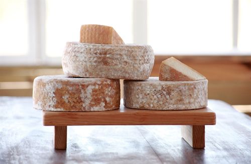 תמונה שצולמה במחלבת צאלה - 5 תמונה של מחלבת צאלה - 5