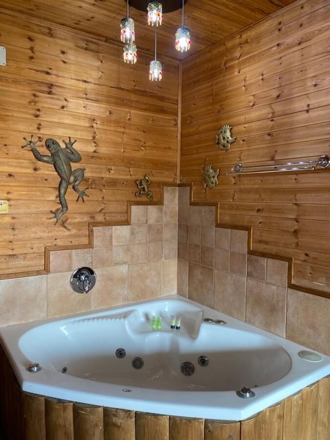 תמונה של בקתת מנגו - 3