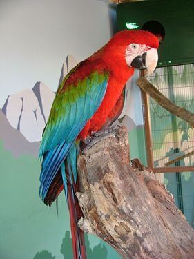 תמונה שצולמה בחוות האנטילופות - 2 תמונה של חוות האנטילופות - 2